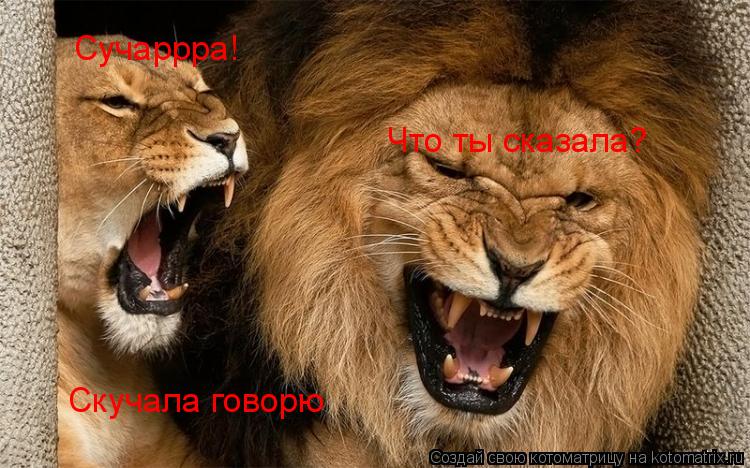 Сучаррра! Что ты сказала? Скучала говорю... Котоматрица: Сучаррра! Что ты сказала? Скучала говорю