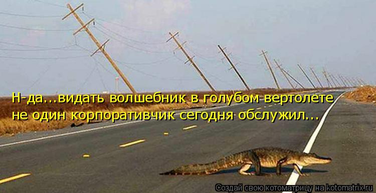 Н-да...видать волшебник в голубом вертолете не один корпоративчик сегодня обслужил...... Котоматрица: Н-да...видать волшебник в голубом вертолете не один корпоративчик сегодня обслужил...