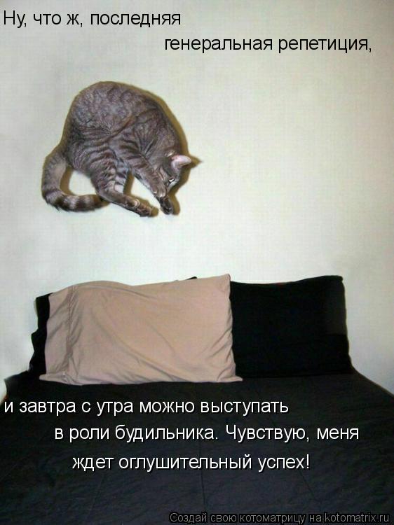 Ну, что ж, последняя генеральная репетиция, и завтра с утра можно выступать в роли будильника. Чувс... Котоматрица: Ну, что ж, последняя генеральная репетиция, и завтра с утра можно выступать в роли будильника. Чувствую, меня ждет оглушительный успех!