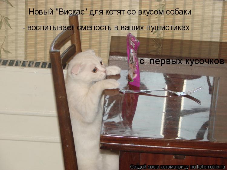 Новый "Вискас" для котят со вкусом собаки - воспитывает смелость в ваших пушистиках с первых кусоч... Котоматрица: Новый "Вискас" для котят со вкусом собаки - воспитывает смелость в ваших пушистиках с первых кусочков .