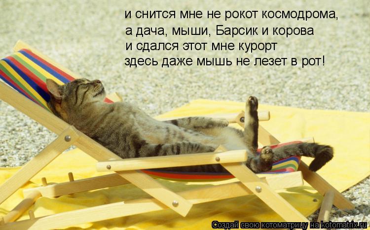 и снится мне не рокот космодрома, а дача, мыши, Барсик и корова и сдался этот мне курорт здесь даже м... Котоматрица: и снится мне не рокот космодрома, а дача, мыши, Барсик и корова и сдался этот мне курорт здесь даже мышь не лезет в рот!