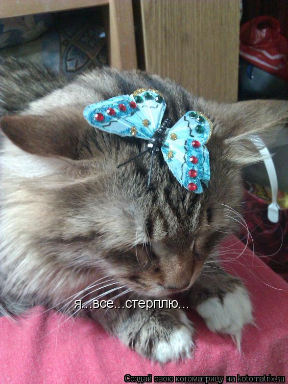 я...все...стерплю...... Котоматрица: я...все...стерплю...
