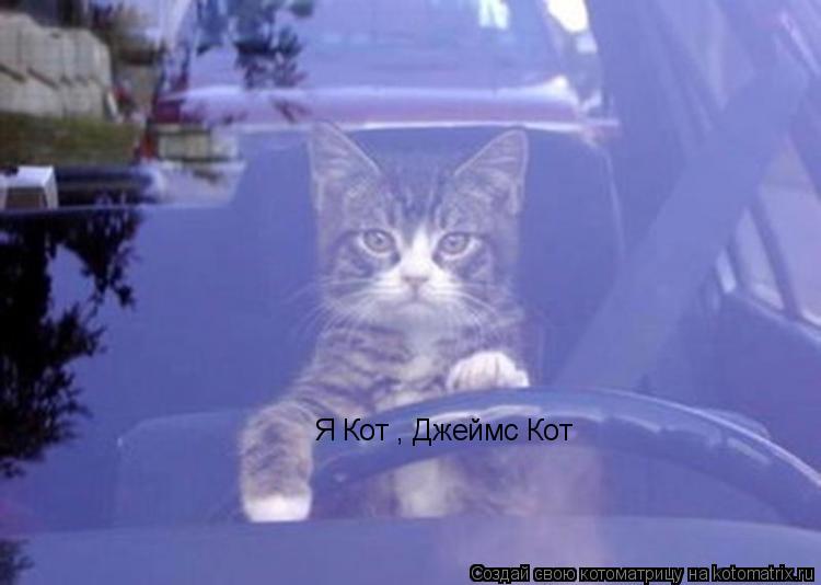 Я Кот , Джеймс Кот... Котоматрица: Я Кот , Джеймс Кот