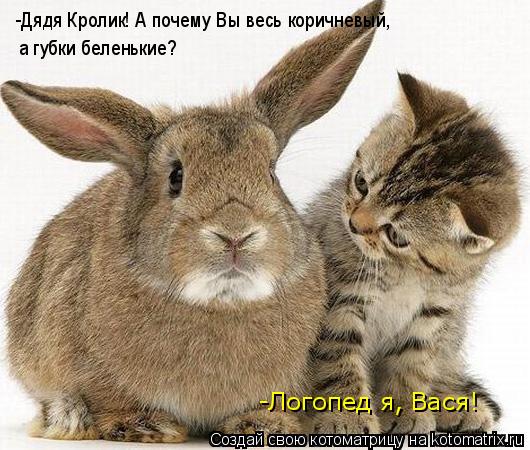-Дядя Кролик! А почему Вы весь коричневый, а губки беленькие? -Логопед я, Вася!... Котоматрица: -Дядя Кролик! А почему Вы весь коричневый, а губки беленькие? -Логопед я, Вася!