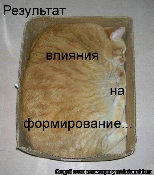 Результат влияния на формирование...... Котоматрица: Результат влияния на формирование...