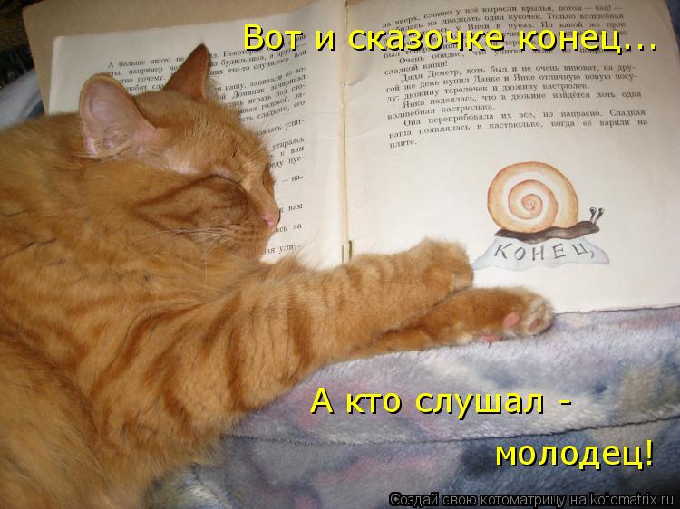 Котоматрица: Вот и сказочке конец... А кто слушал -  молодец!