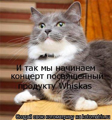 Котоматрица: И так мы начинаем  концерт посвященный  продукту Whiskas