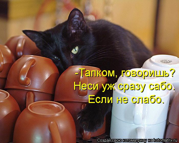 -Тапком, говоришь? Неси уж сразу сабо. Если не слабо.... Котоматрица: -Тапком, говоришь? Неси уж сразу сабо. Если не слабо.