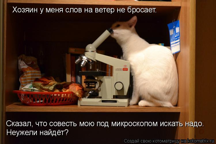 Хозяин у меня слов на ветер не бросает. Сказал, что совесть мою под микроскопом искать надо. Неужели... Котоматрица: Хозяин у меня слов на ветер не бросает. Сказал, что совесть мою под микроскопом искать надо. Неужели найдёт?