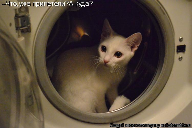 --Что,уже прилетели?А куда?... Котоматрица: --Что,уже прилетели?А куда?