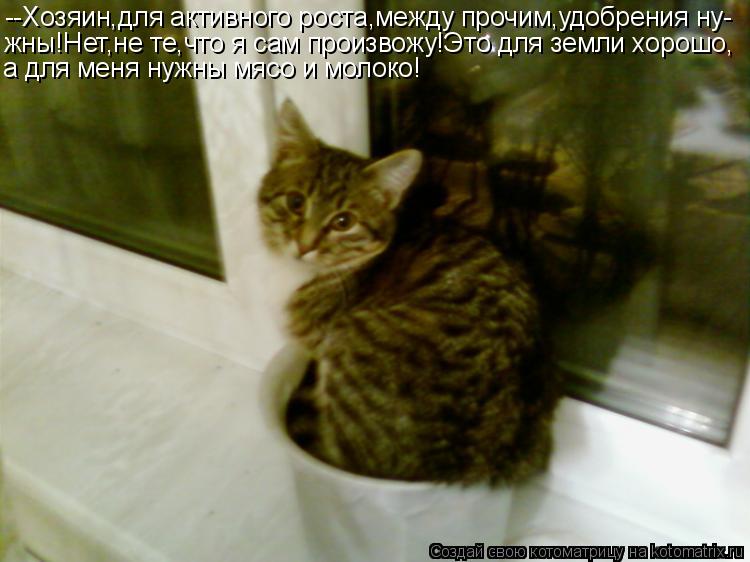 --Хозяин,для активного роста,между прочим,удобрения ну- жны!Нет,не те,что я сам произвожу!Это для зем... Котоматрица: --Хозяин,для активного роста,между прочим,удобрения ну- жны!Нет,не те,что я сам произвожу!Это для земли хорошо, а для меня нужны мясо и молоко!
