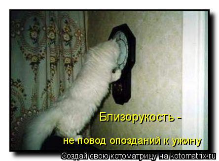 Близорукость - не повод опозданий к ужину... Котоматрица: Близорукость - не повод опозданий к ужину