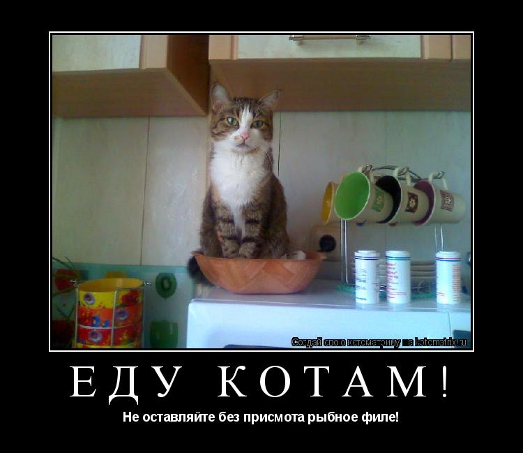 Еду Котам! Не оставляйте без присмота рыбное филе!... Котоматрица: Еду Котам! Не оставляйте без присмота рыбное филе!