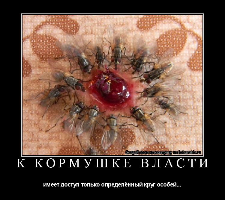 к кормушке власти имеет доступ только определённый круг особей...... Котоматрица: к кормушке власти имеет доступ только определённый круг особей...