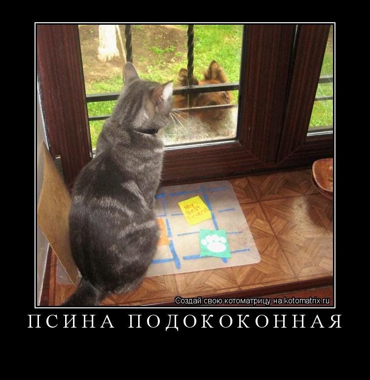ПСИНА ПОДОКОКОННАЯ ... Котоматрица: ПСИНА ПОДОКОКОННАЯ