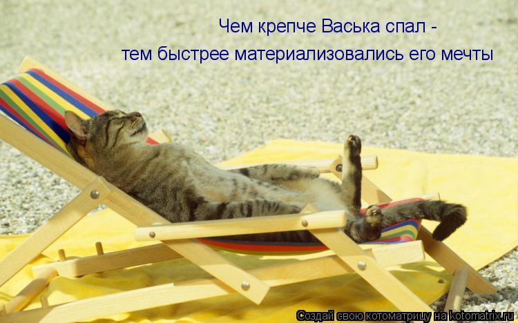 Чем крепче Васька спал - тем быстрее материализовались его мечты... Котоматрица: Чем крепче Васька спал - тем быстрее материализовались его мечты
