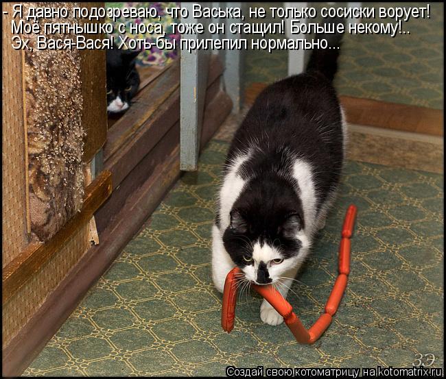Котоматрица: - Я давно подозреваю, что Васька, не только сосиски ворует! Моё пятнышко с носа, тоже он стащил! Больше некому!.. Эх, Вася-Вася! Хоть-бы прилепил
