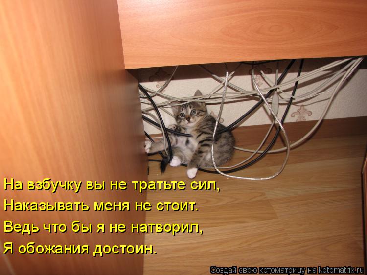 Котоматрица: На взбучку вы не тратьте сил, Наказывать меня не стоит. Ведь что бы я не натворил, Я обожания достоин.
