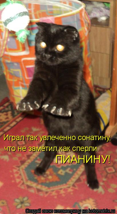 Играл так увлеченно сонатину, что не заметил,как сперли ПИАНИНУ!... Котоматрица: Играл так увлеченно сонатину, что не заметил,как сперли ПИАНИНУ!
