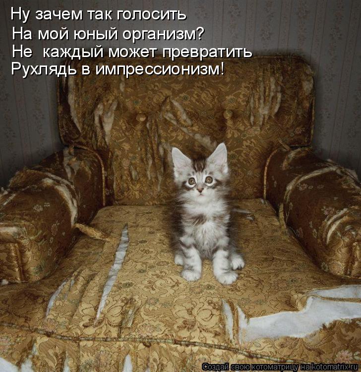 Ну зачем так голосить На мой юный организм? Не каждый может превратить Рухлядь в импрессионизм!... Котоматрица: Ну зачем так голосить На мой юный организм? Не каждый может превратить Рухлядь в импрессионизм!