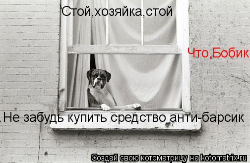 Котоматрица: Стой,хозяйка,стой Что,Бобик Не забудь купить средство анти-барсик