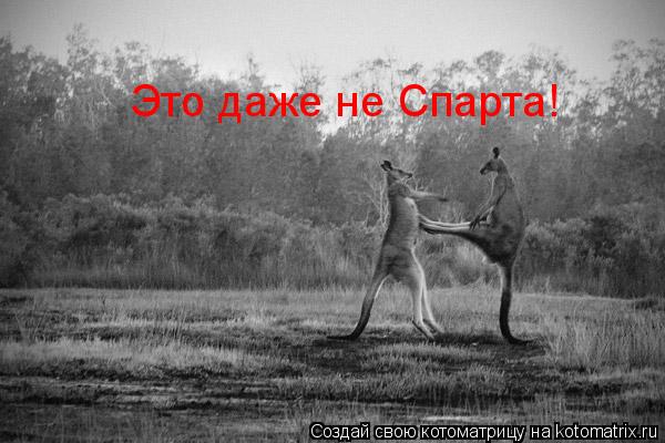 Это даже не Спарта!... Котоматрица: Это даже не Спарта!
