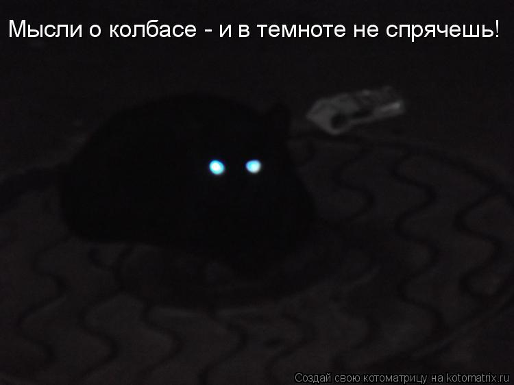 Мысли о колбасе - и в темноте не спрячешь!... Котоматрица: Мысли о колбасе - и в темноте не спрячешь!