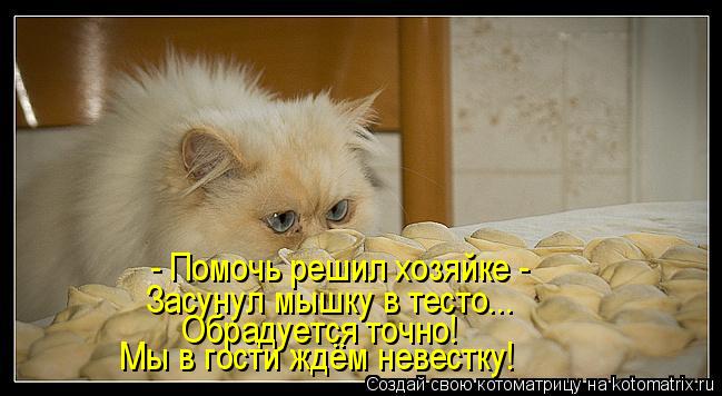 - Помочь решил хозяйке - Засунул мышку в тесто... Обрадуется точно! Мы в гости ждём невестку!... Котоматрица: - Помочь решил хозяйке - Засунул мышку в тесто... Обрадуется точно! Мы в гости ждём невестку!
