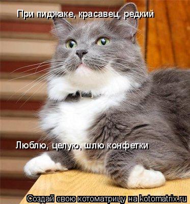 При пиджаке, красавец, редкий Люблю, целую, шлю конфетки... Котоматрица: При пиджаке, красавец, редкий Люблю, целую, шлю конфетки