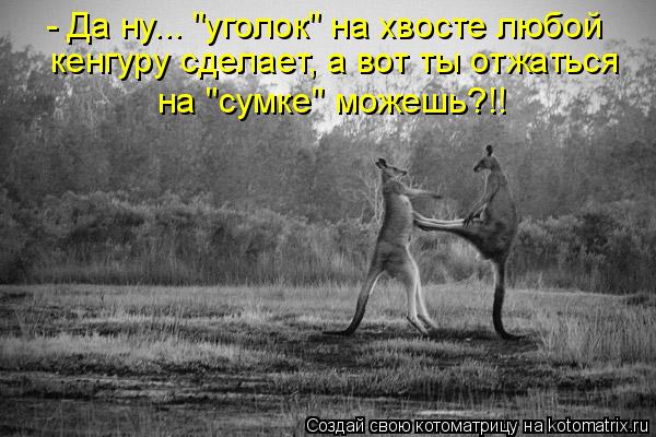 Котоматрица: - Да ну... "уголок" на хвосте любой кенгуру сделает, а вот ты отжаться на "сумке" можешь?!!