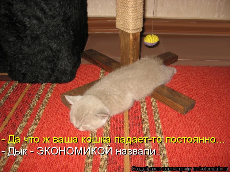 - Да что ж ваша кошка падает-то постоянно... - Дык - ЭКОНОМИКОЙ назвали...... Котоматрица: - Да что ж ваша кошка падает-то постоянно... - Дык - ЭКОНОМИКОЙ назвали...