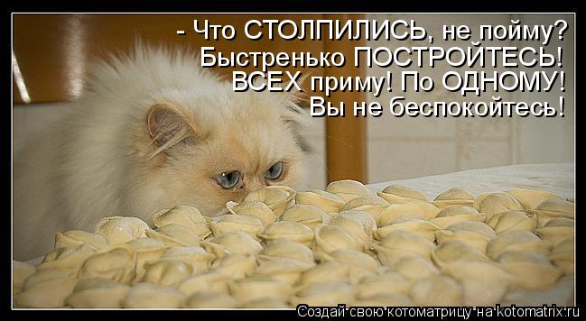 ВСЕХ приму! По ОДНОМУ! Быстренько ПОСТРОЙТЕСЬ! - Что СТОЛПИЛИСЬ, не пойму? Вы не беспокойтесь!... Котоматрица: ВСЕХ приму! По ОДНОМУ! Быстренько ПОСТРОЙТЕСЬ! - Что СТОЛПИЛИСЬ, не пойму? Вы не беспокойтесь!