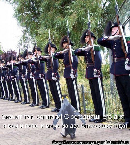 Котоматрица: Значит так, сопляки! С сегодняшнего дня я вам и папа, и мама на два ближайших года!