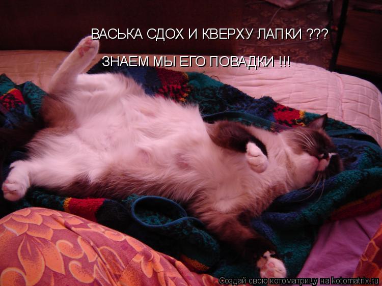 Котоматрица: ЗНАЕМ МЫ ЕГО ПОВАДКИ !!! ВАСЬКА СДОХ И КВЕРХУ ЛАПКИ ???