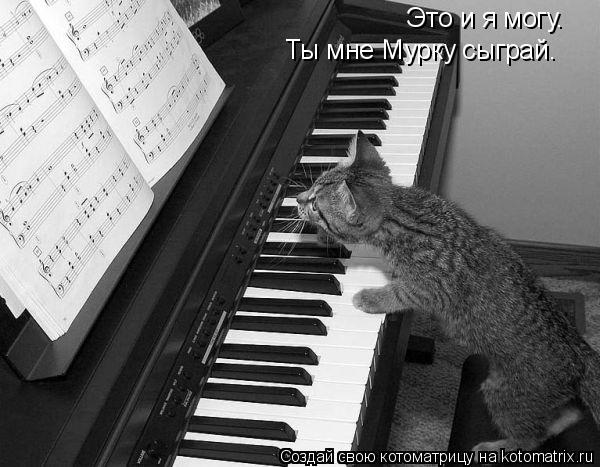 Это и я могу. Ты мне Мурку сыграй.... Котоматрица: Это и я могу. Ты мне Мурку сыграй.