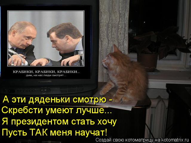 Котоматрица: А эти дяденьки смотрю - Скребсти умеют лучше... Я президентом стать хочу Пусть ТАК меня научат!