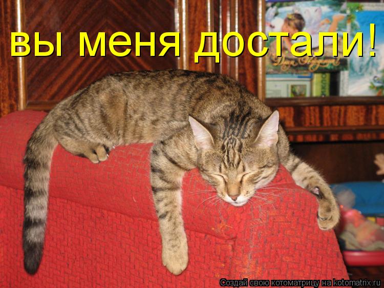 вы меня достали!... Котоматрица: вы меня достали!