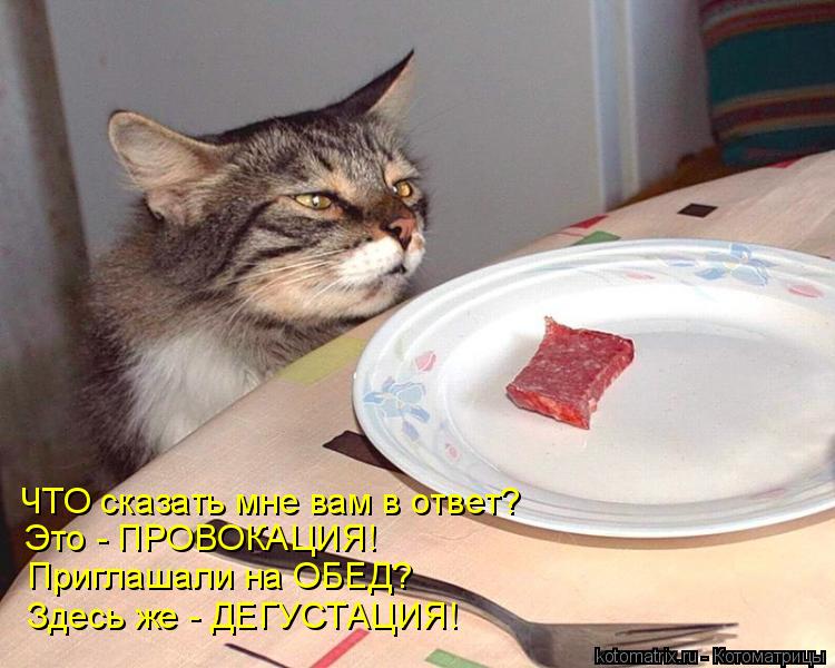 ЧТО сказать мне вам в ответ? Это - ПРОВОКАЦИЯ! Приглашали на ОБЕД? Здесь же - ДЕГУСТАЦИЯ!... Котоматрица: ЧТО сказать мне вам в ответ? Это - ПРОВОКАЦИЯ! Приглашали на ОБЕД? Здесь же - ДЕГУСТАЦИЯ!