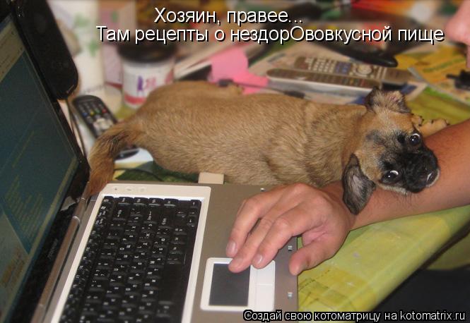 Хозяин, правее... Там рецепты о нездорОвовкусной пище... Котоматрица: Хозяин, правее... Там рецепты о нездорОвовкусной пище