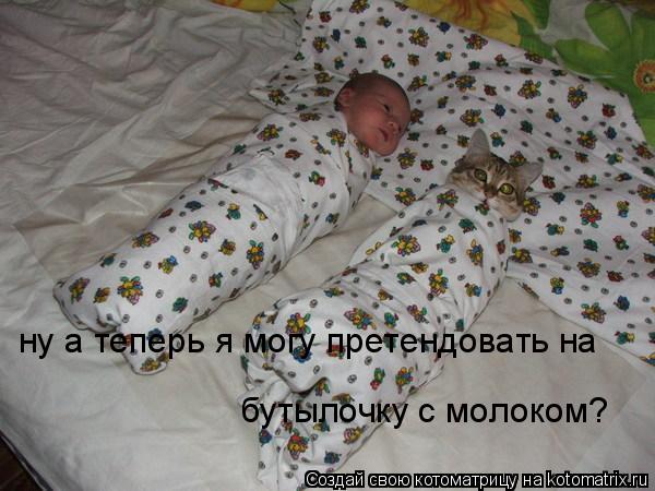 ну а теперь я могу претендовать на бутылочку с молоком?... Котоматрица: ну а теперь я могу претендовать на бутылочку с молоком?