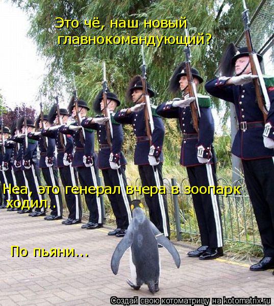 Это чё, наш новый главнокомандующий? Неа, это генерал вчера в зоопарк ходил.. По пьяни...... Котоматрица: Это чё, наш новый главнокомандующий? Неа, это генерал вчера в зоопарк ходил.. По пьяни...