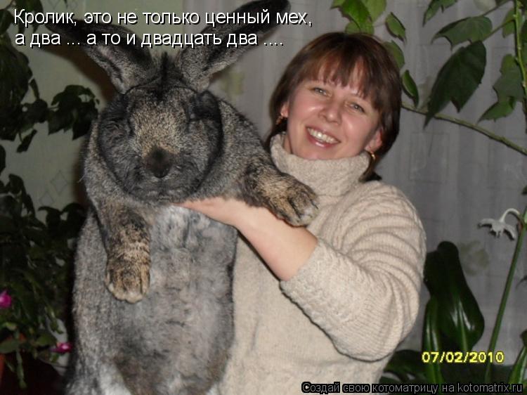 Кролик, это не только ценный мех, а два ... а то и двадцать два ....... Котоматрица: Кролик, это не только ценный мех, а два ... а то и двадцать два ....