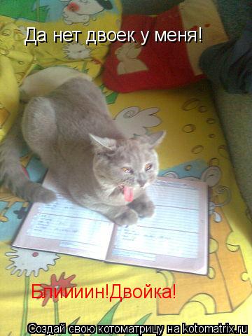 Да нет двоек у меня! Блиииин!Двойка!... Котоматрица: Да нет двоек у меня! Блиииин!Двойка!