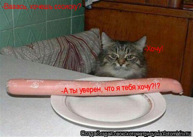 -Вааась, хочешь сосиску? -Хочу! -А ты уверен, что я тебя хочу?!? -А ты уверен, что я тебя хочу?!?... Котоматрица: -Вааась, хочешь сосиску? -Хочу! -А ты уверен, что я тебя хочу?!? -А ты уверен, что я тебя хочу?!?
