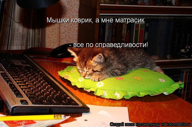 Мышки коврик, а мне матрасик - все по справедливости!... Котоматрица: Мышки коврик, а мне матрасик - все по справедливости!