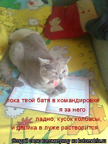 пока твой батя в командировке я за него ладно, кусок колбасы, и двойка в луже растворится... Котоматрица: пока твой батя в командировке я за него ладно, кусок колбасы, и двойка в луже растворится