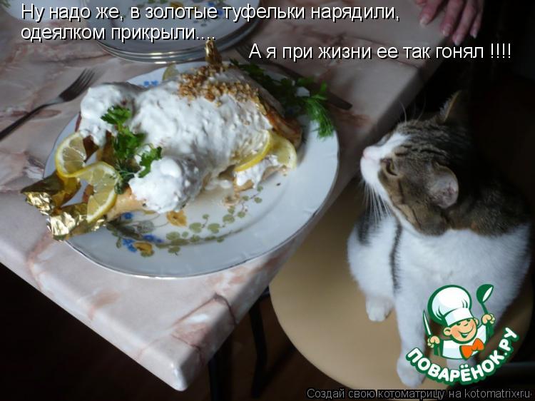 Ну надо же, в золотые туфельки нарядили, одеялком прикрыли.... А я при жизни ее так гонял !!!!... Котоматрица: Ну надо же, в золотые туфельки нарядили, одеялком прикрыли.... А я при жизни ее так гонял !!!!