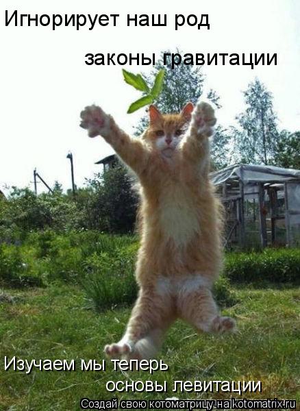 Игнорирует наш род законы гравитации Изучаем мы теперь основы левитации... Котоматрица: Игнорирует наш род законы гравитации Изучаем мы теперь основы левитации
