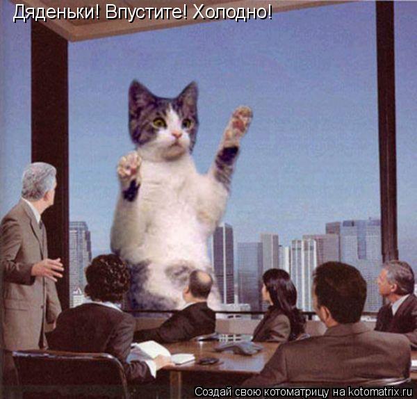 Дяденьки! Впустите! Холодно!... Котоматрица: Дяденьки! Впустите! Холодно!