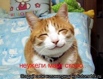 неужели март скоро..... Котоматрица: неужели март скоро..